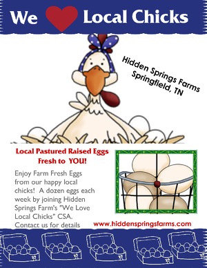 Flyer advertising our Farm Fresh Egg CSA