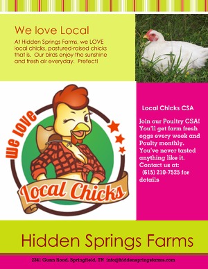 We Love Local Chicks Flyer