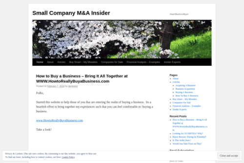 Small Company M&A Insider  - http://insightersguidetobusinessacquisitions.wordpress.com