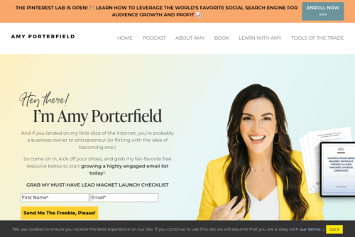 #443: The Mini Ad Training: 4 Key Principles For High-Converting, Low-Cost Ads - https://www.amyporterfield.com