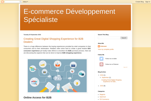 Check The Usability Status of Your E-Commerce Website - http://ecommercedeveloppementspecialiste.blogspot.fr