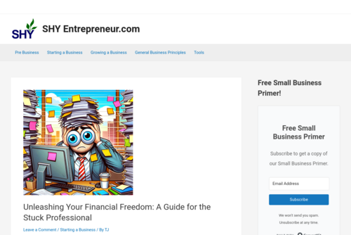 Case Study of a Successful Little Business - http://www.shyentrepreneur.com