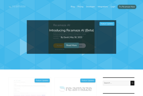  How to Streamline SaaS Client Onboarding with Re:amaze + Process Street - https://blog.reamaze.com